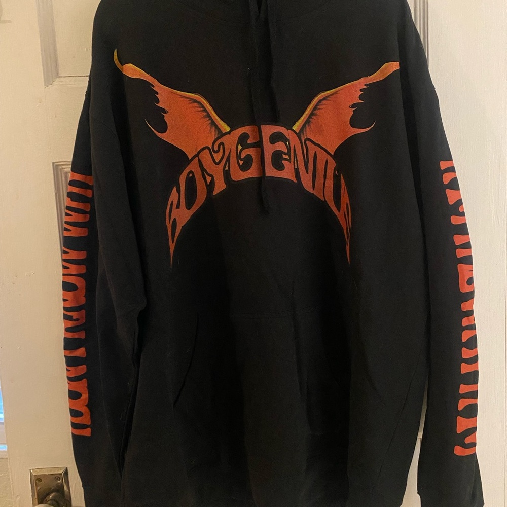 Boygenius Hoodie